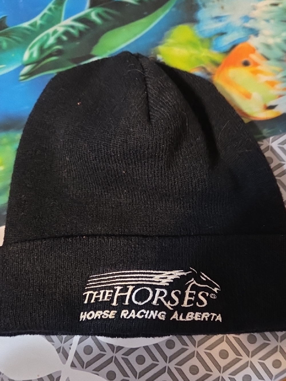 The Horse Black Knit Beanie with White Embroidered Logo